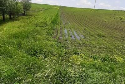 Spațiu comercial, în Drăgoiești