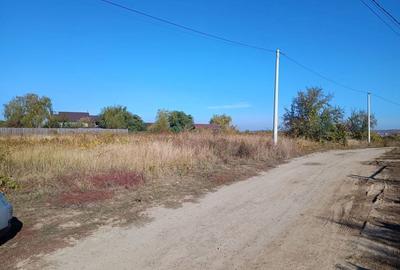 Teren de 704 mp, în Vișani - 3