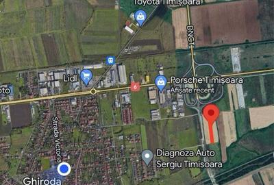 Teren de 8077 mp, în Ghiroda - 9