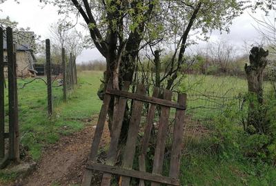 Teren de 2400 mp, în Găvănel - 5