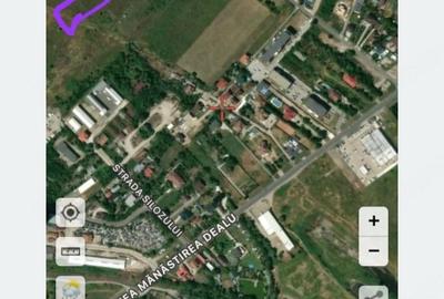 Teren de 10590 mp, în Viforâta