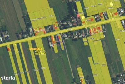 Casă cu 3 camere cu Teren 926 Mp în Fântânele - 13
