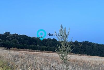 Spațiu comercial, în Domnești