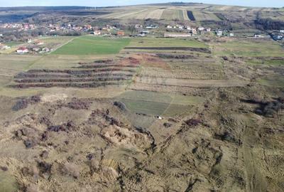 Teren agricol extravilan de 68403 mp, în Popești - 16