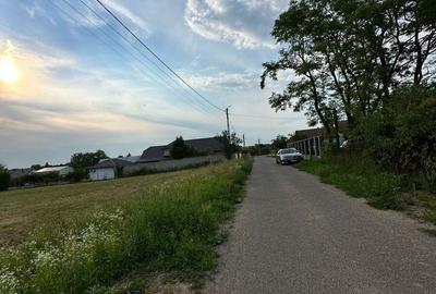 Teren de 800 mp, în Viile Satu Mare - 3