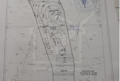 Teren Construcții intravilan de 5827 mp, în Sopor - 2