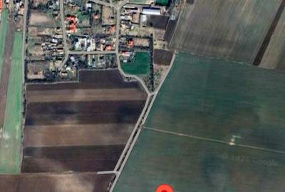 Teren agricol extravilan de 2500 mp, în Butimanu - 8