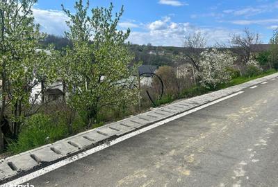 Spațiu comercial, în Valea Lupului - 2