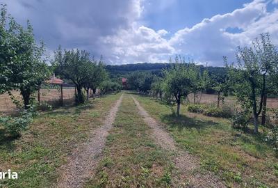 Casă cu 4 camere cu Teren 1079 Mp în Hidiș