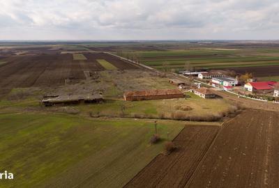 Spațiu comercial, de 3,000 mp, în Mișca - 9