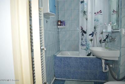 Apartament cu 2 camere decomandat în Găvana 2 - 9