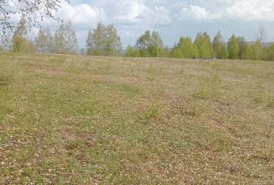 Teren de 10000 mp, în Târsa - 2