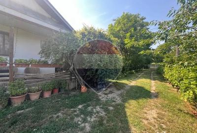 Casă cu 3 camere cu Teren 2244 Mp în Jorăști