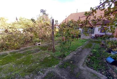 Casă individuală cu 5 camere cu Teren 1800 Mp în Nicolinț - 40