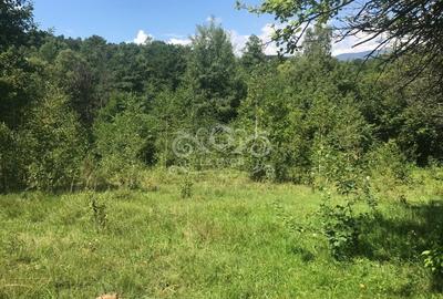 Teren Construcții extravilan de 5000 mp, în Câmpulung Muscel - 2