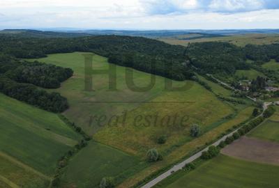 Teren agricol extravilan de 220000 mp, în Mărăști - 3