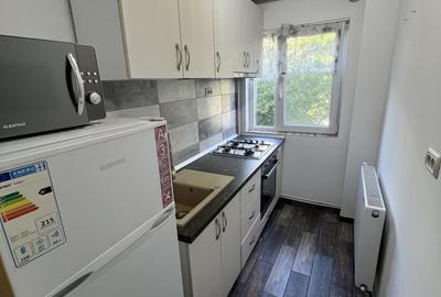 Apartament cu 2 camere nedecomandat, mobilat în Alecu Russo