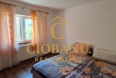 Apartament cu 3 camere decomandat în Craiovița Nouă - 13