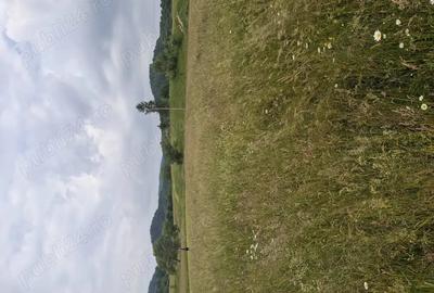 Teren de 1300 mp, în Central - 9