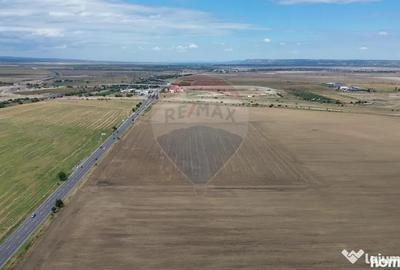 Teren de 27500 mp, în Tișița