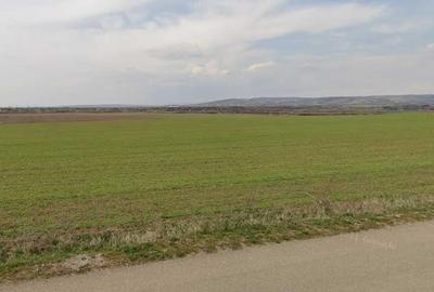 Teren de 17330 mp, în Bucov
