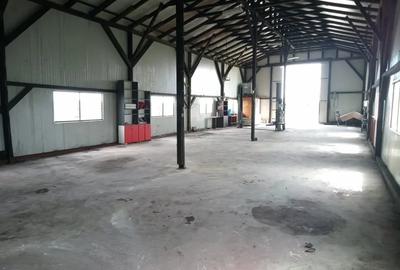 Spațiu comercial, de 500 mp, în Săbăoani