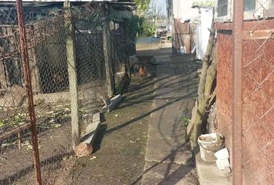 Casă cu 3 camere cu Teren 2000 Mp în Platonești - 4