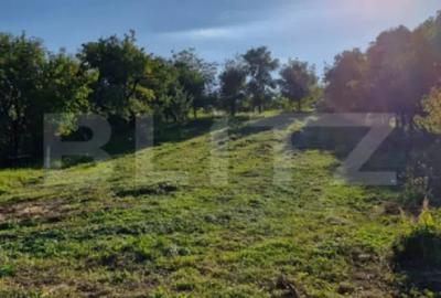 Casă cu 4 camere cu Teren 2400 Mp în Central