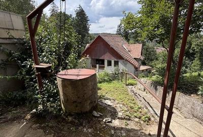 Casă cu 3 camere în Central