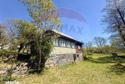 Casă cu 3 camere cu Teren 6039 Mp în Desești - 3