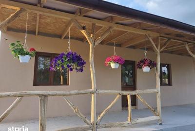 Casă cu 2 camere cu Teren 950 Mp în Borș