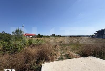 Teren de 15000 mp, în Dănești