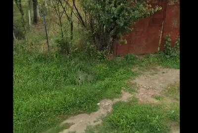 Teren de 1024 mp, în Inotești - 2