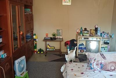 Apartament decomandat în Lujerului