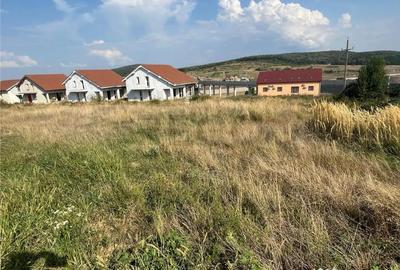 Teren de 1143 mp, în Sânmartin - 13