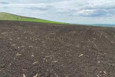 Teren agricol extravilan de 10200 mp, în Țagu - 4