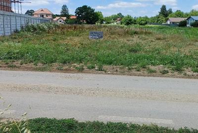 Teren de 3000 mp, în Ciolpani - 8
