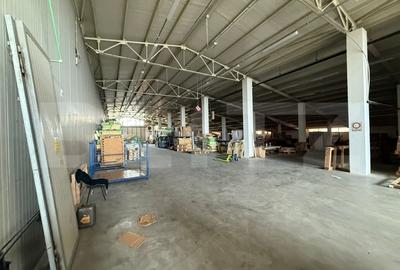 Spațiu industrial, de 3,000 mp, în Careiului