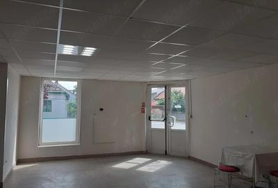 Casă cu Teren 400 Mp în Mehala - 3