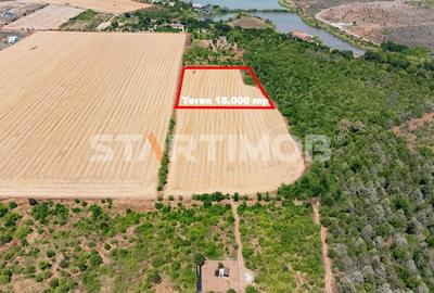 Teren Construcții intravilan de 15000 mp, în Vest - 5