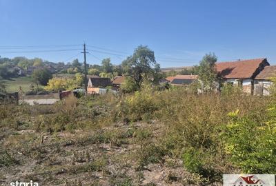 Teren de 1000 mp, în Berghin