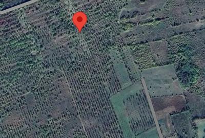 Teren de 2800 mp, în Lunca Frumoasă