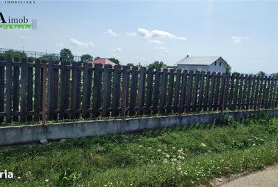 Casă cu 3 camere în Șerbești - 3