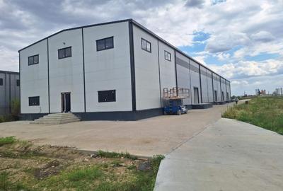 Spațiu industrial, de 1,124 mp, în Cernica - 1