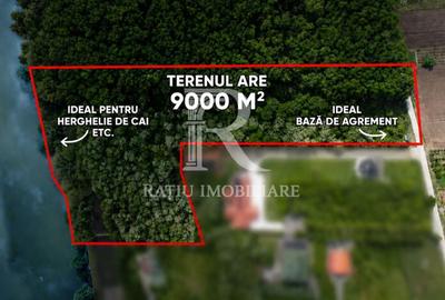 Teren extravilan de 9000 mp, în Buduslău