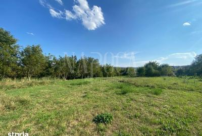 Teren de 7681 mp, în Borhanci