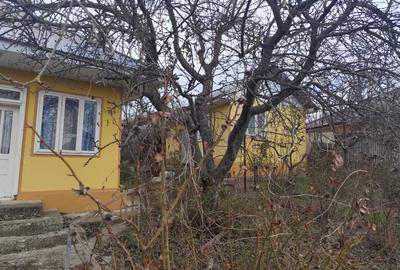 Casă cu Teren 4800 Mp în Stoișești - 2