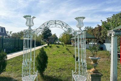 Casă cu 3 camere cu Teren 3900 Mp în Mogoșoaia - 3