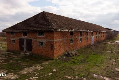 Spațiu comercial, de 3,000 mp, în Mișca - 14