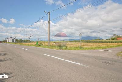 Teren de 800 mp, în Stupini